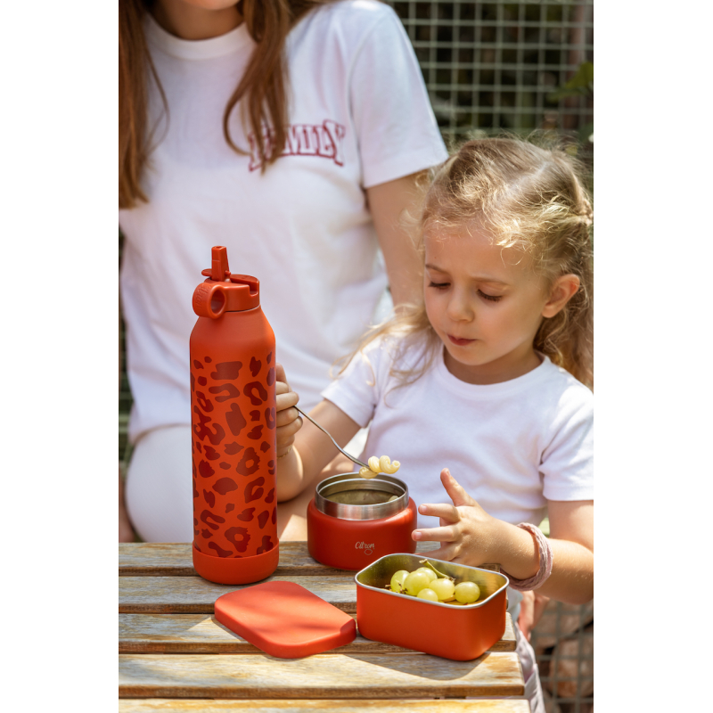 Citron Nerezová nádoba na jídlo 250 ml - Brick