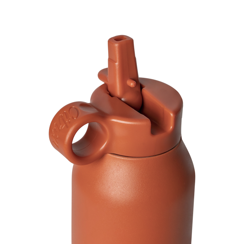 Citron Lahev na vodu Medium, 500 ml - Brick